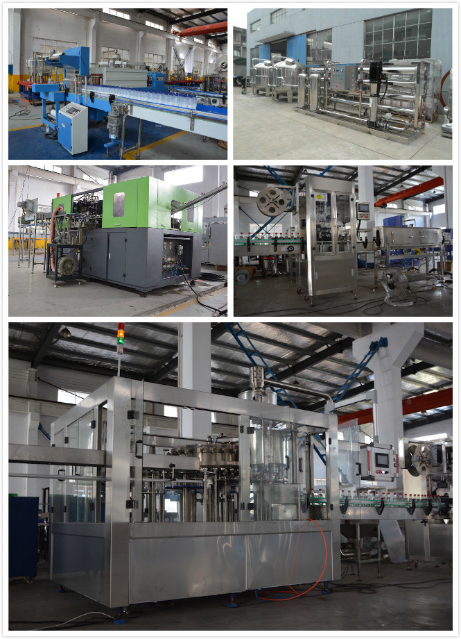 Aplicador automático do punho da garrafa de óleo que introduz a máquina/a máquina de pressão